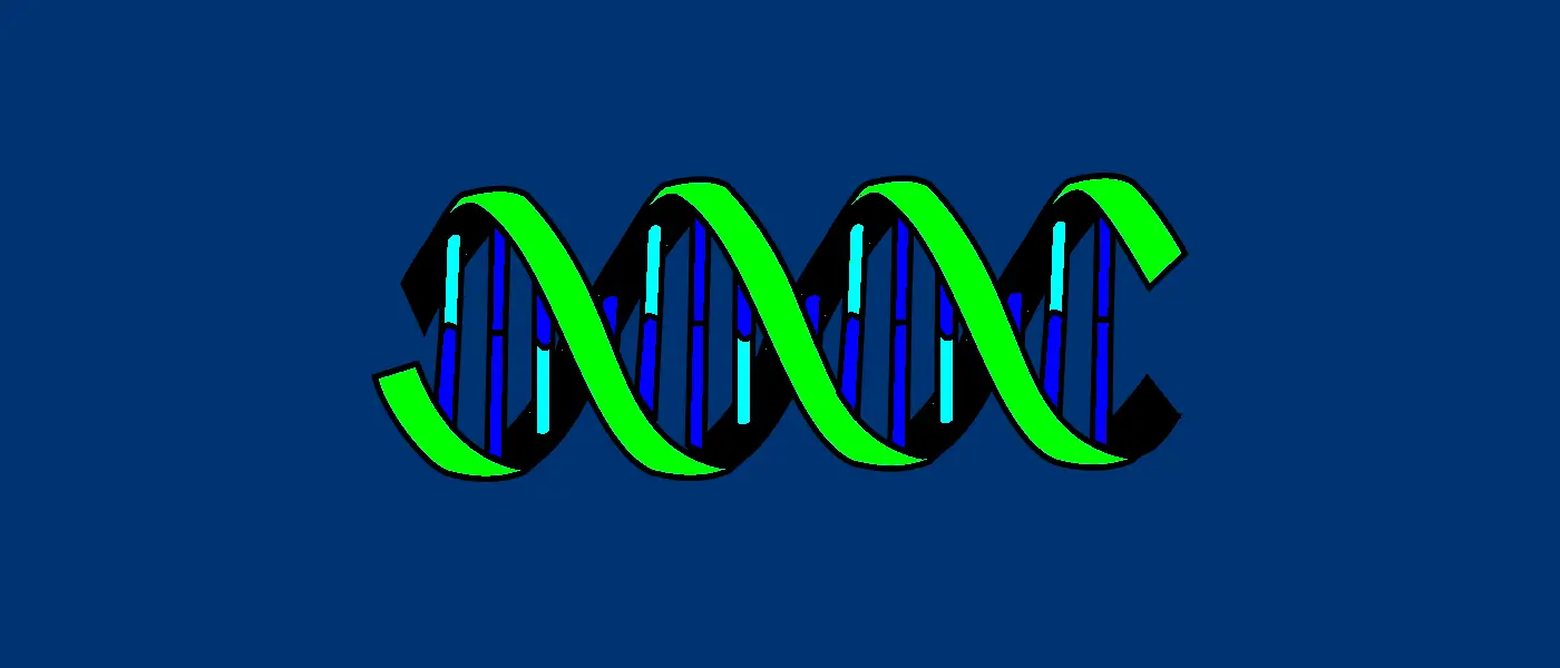 Як працюють генетичні алгоритми