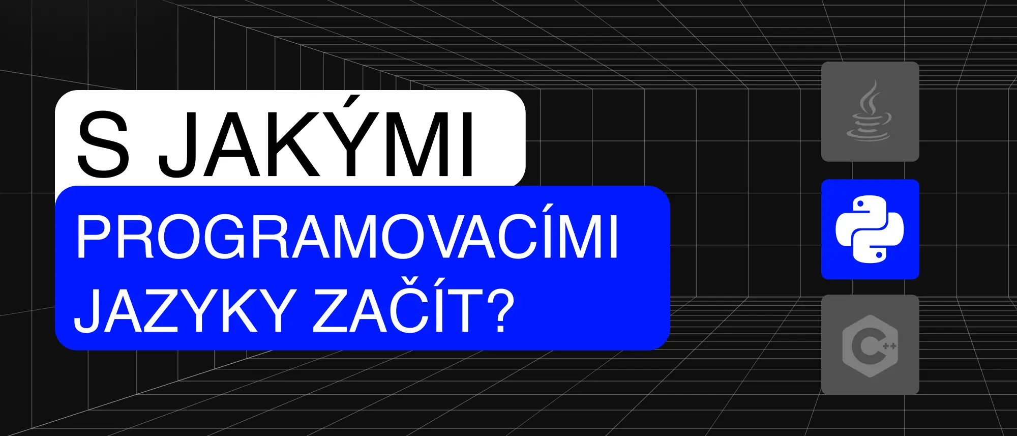 Který programovací jazyk se naučit první?