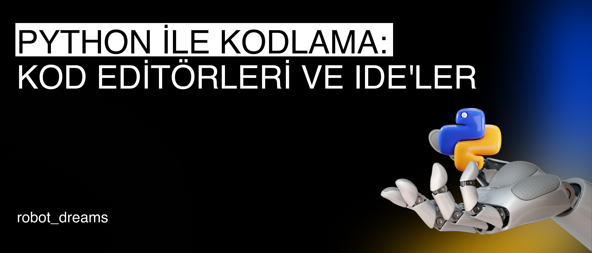 Python ile Kodlama: Kod Editörleri ve IDE'ler