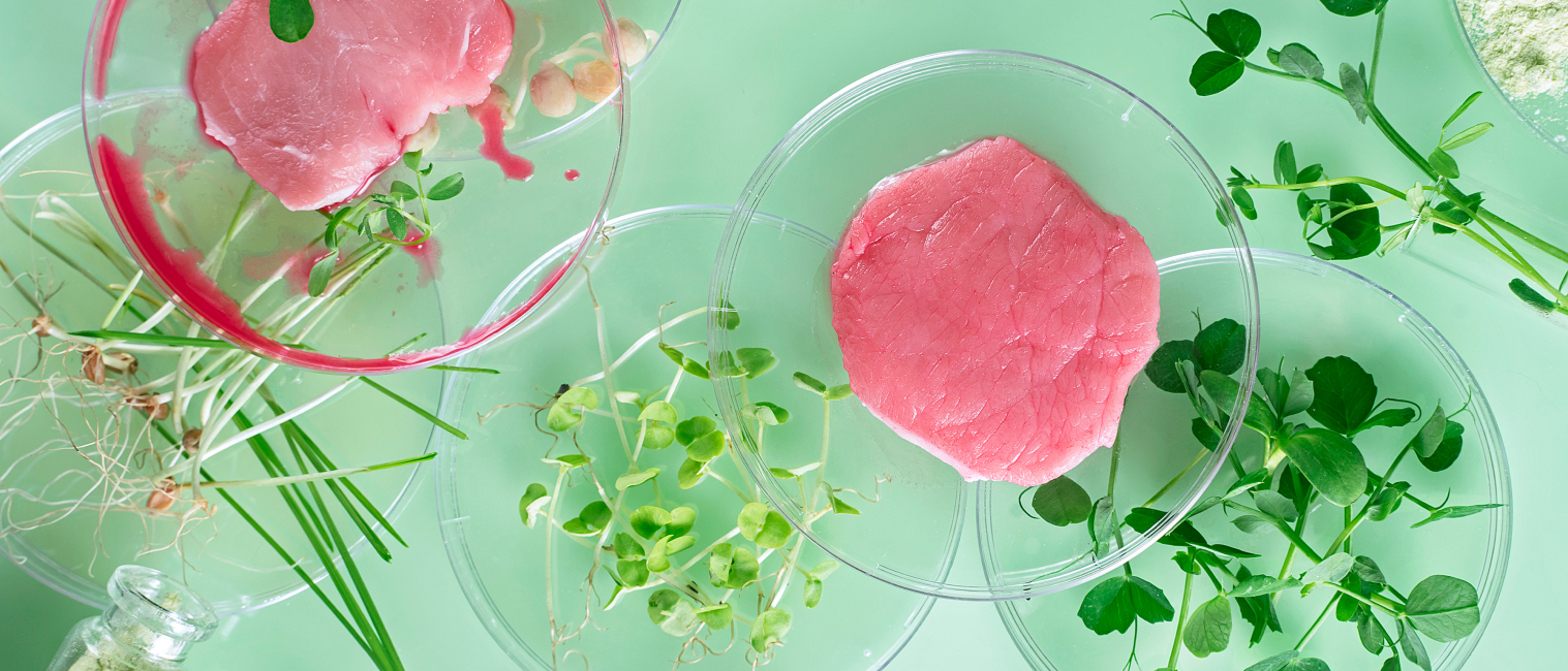 Laboratuvarda Et Üretimi: Geleceğin Beslenmesi
